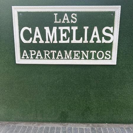 Yumbo Appartamenti Las Camelias Playa Del Ingles Zewnętrze zdjęcie